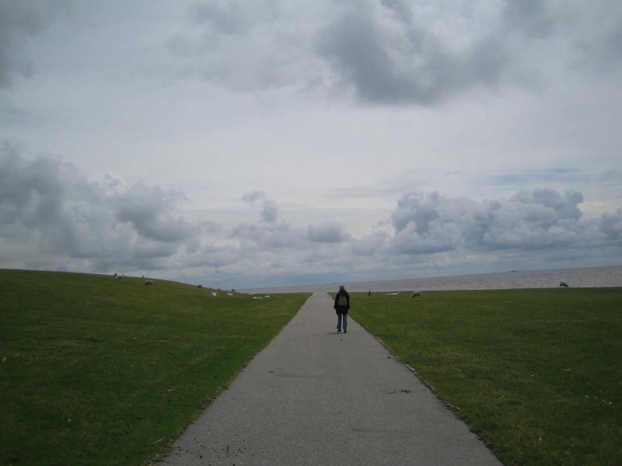 Friesenhaus Am Meer Dagebüll Buitenkant foto