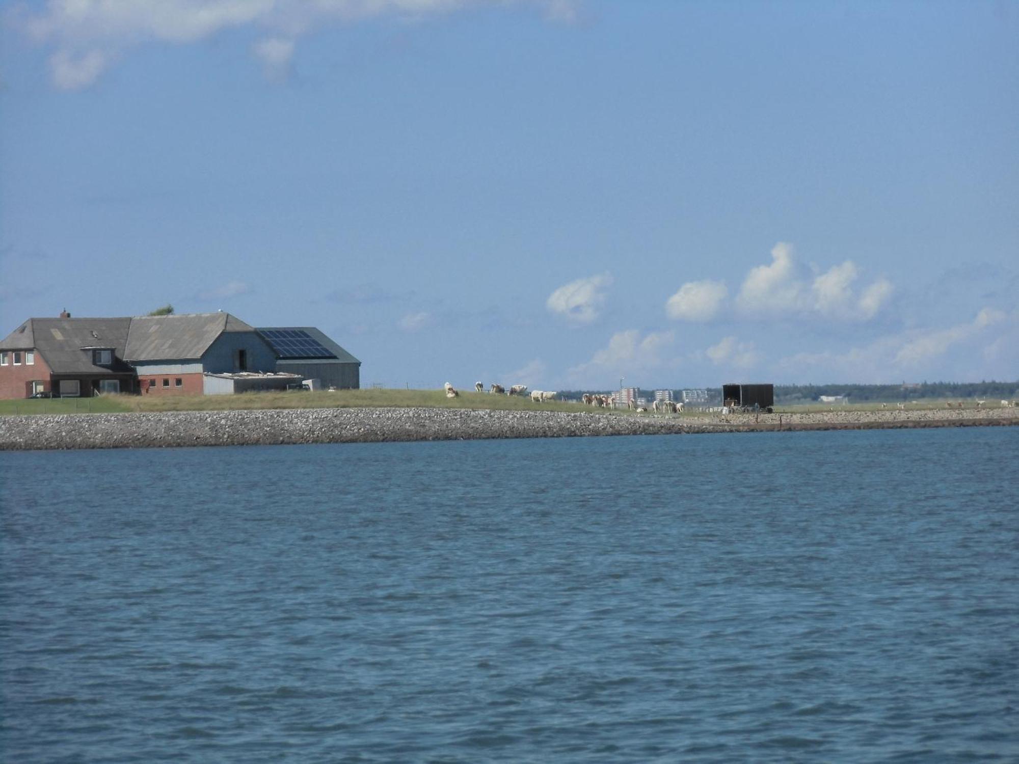 Friesenhaus Am Meer Dagebüll Buitenkant foto