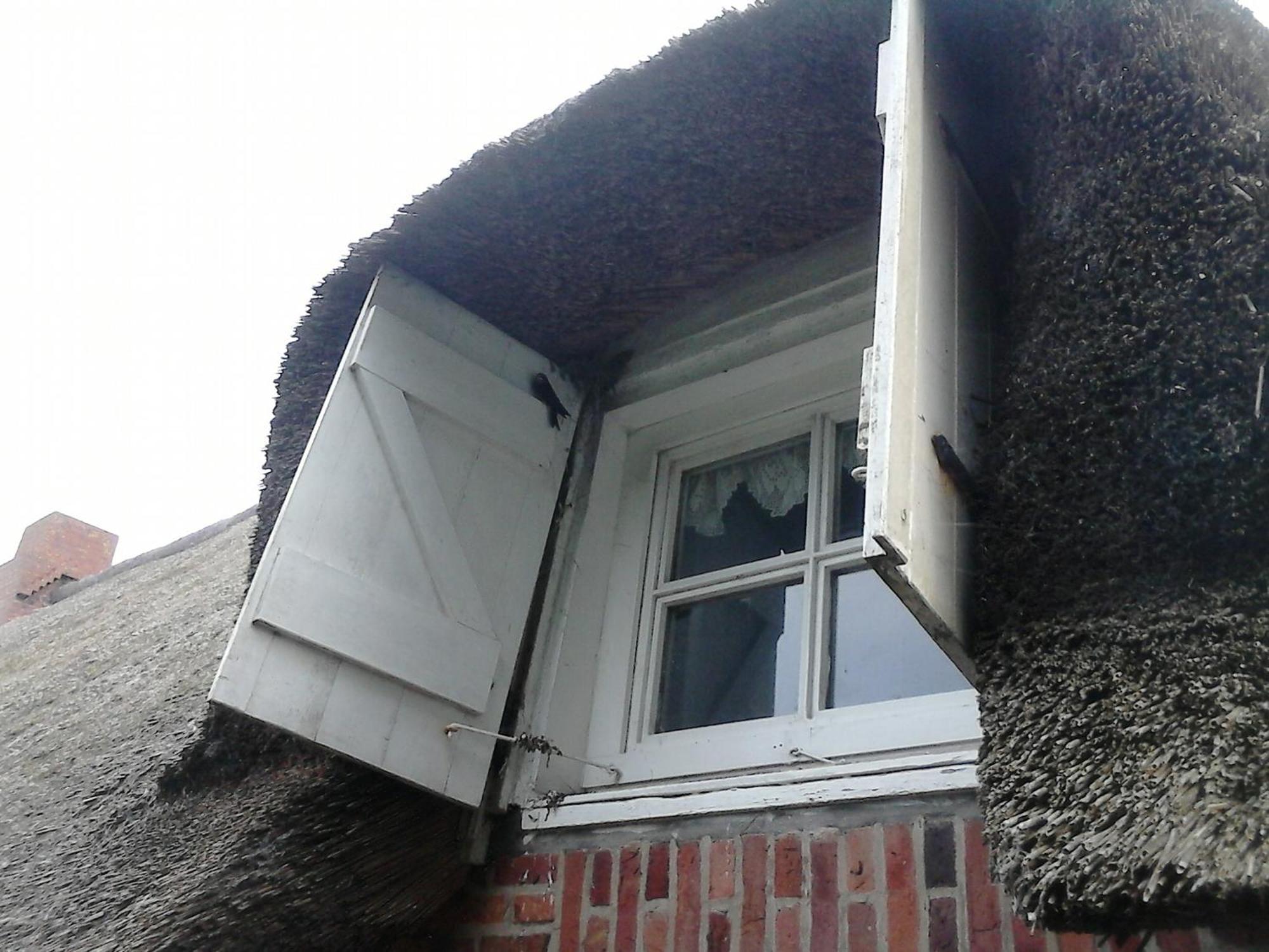 Friesenhaus Am Meer Dagebüll Buitenkant foto